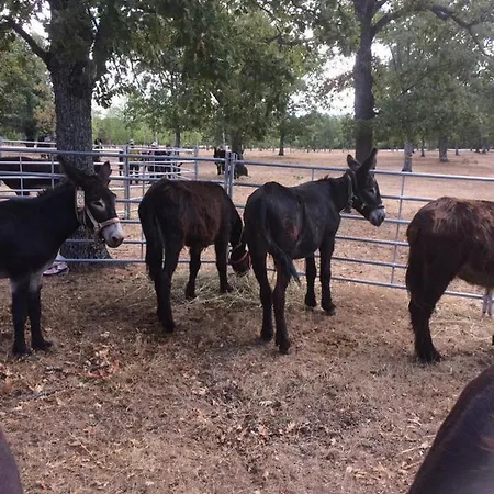 別荘 Casa Do Planalto Mirandes *