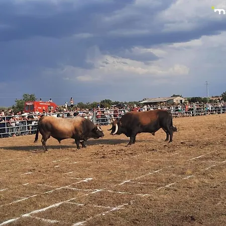 Casa Do Planalto Mirandes Tatil Evi
