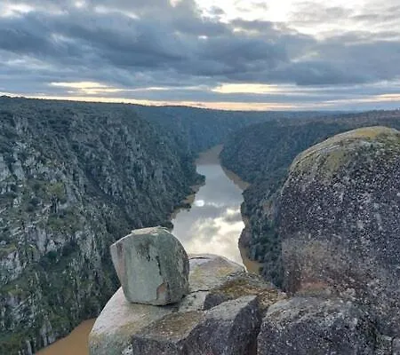 別荘 Casa Do Planalto Mirandes ミランダ・ド・ドウロ