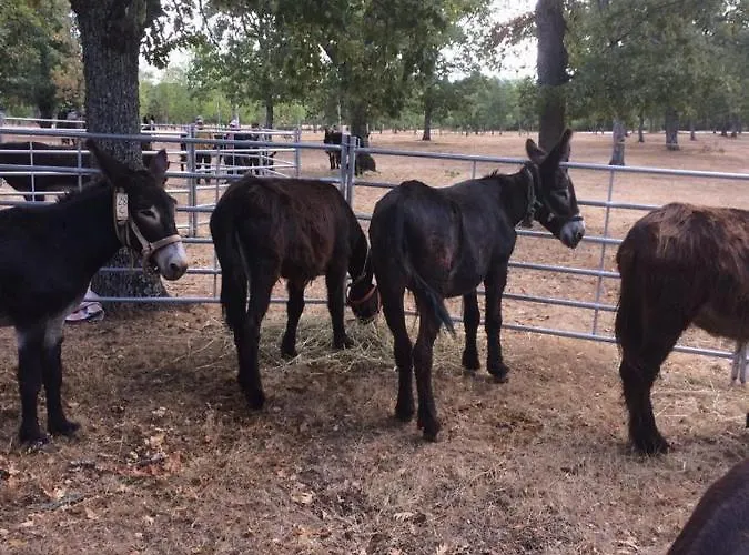 Nyaraló Casa Do Planalto Mirandes *