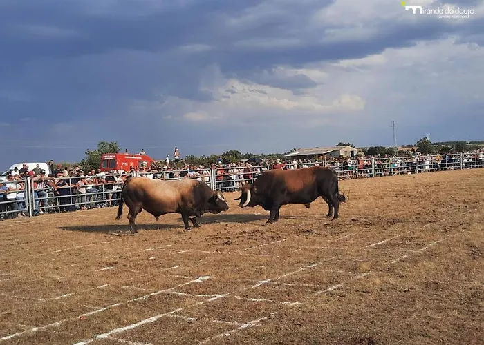 Casa Do Planalto Mirandes Tatil Evi